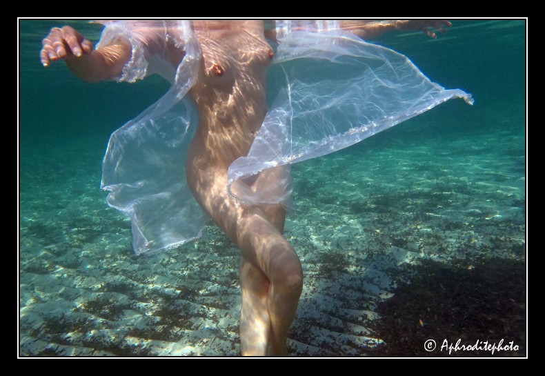 006 Elégance d'une danse aquatique